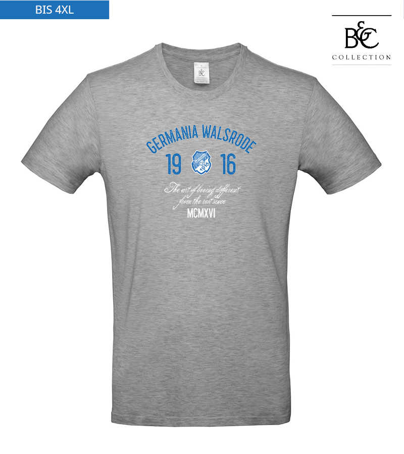 B&C Herren T-Shirt Sports Grey "Isack"